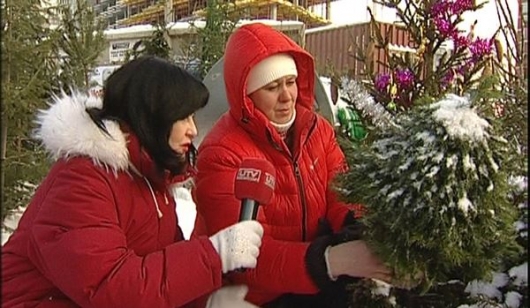 Дорога ёлочка к Новому году!