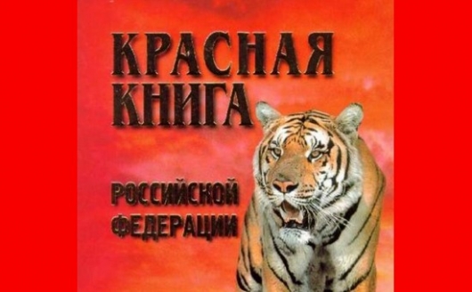 В Пермском крае обсудили вопросы ведения Красной книги России